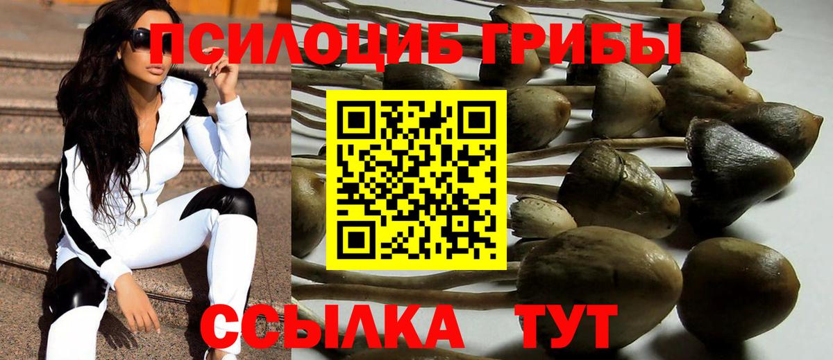 Псилоцибиновые грибы MAGIC MUSHROOMS  Вход с VPN  Верхняя Салда  Псилоцибиновые грибы Cubensis 